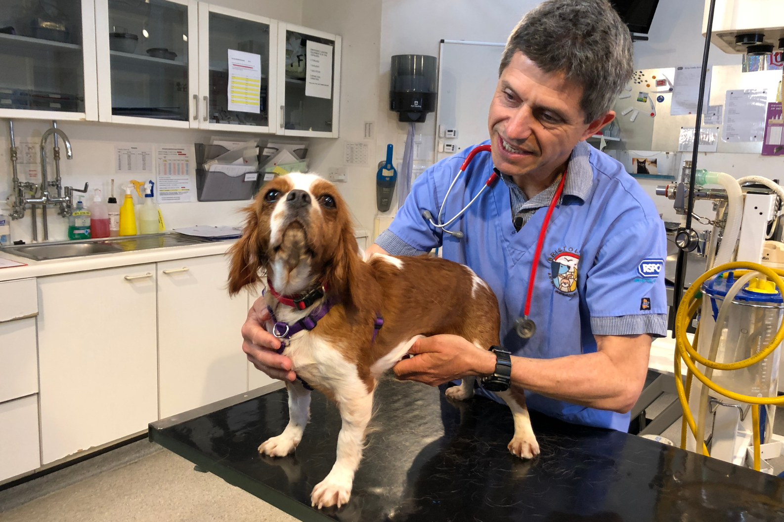 Our Veterinary Team