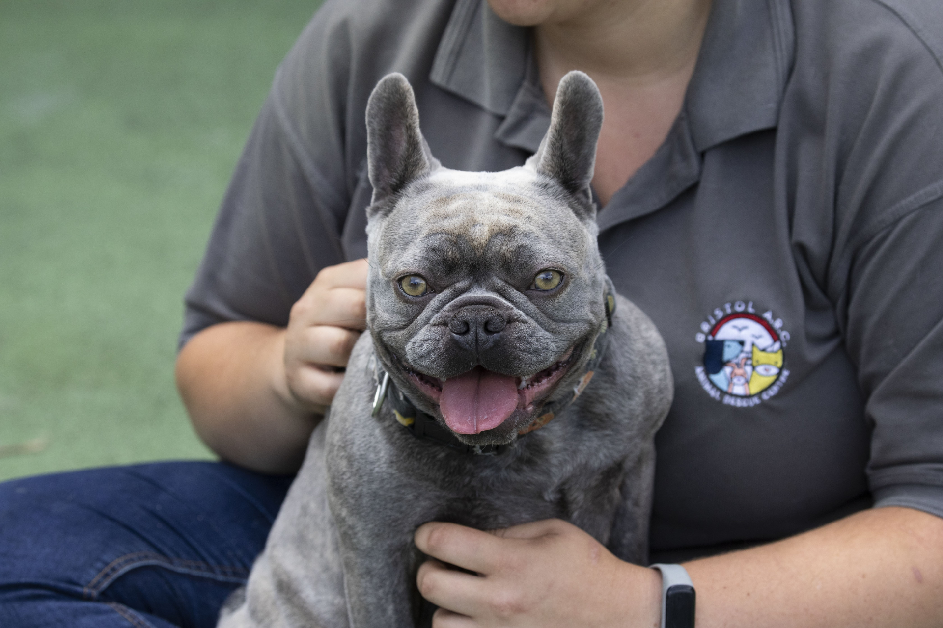 Help animals in need