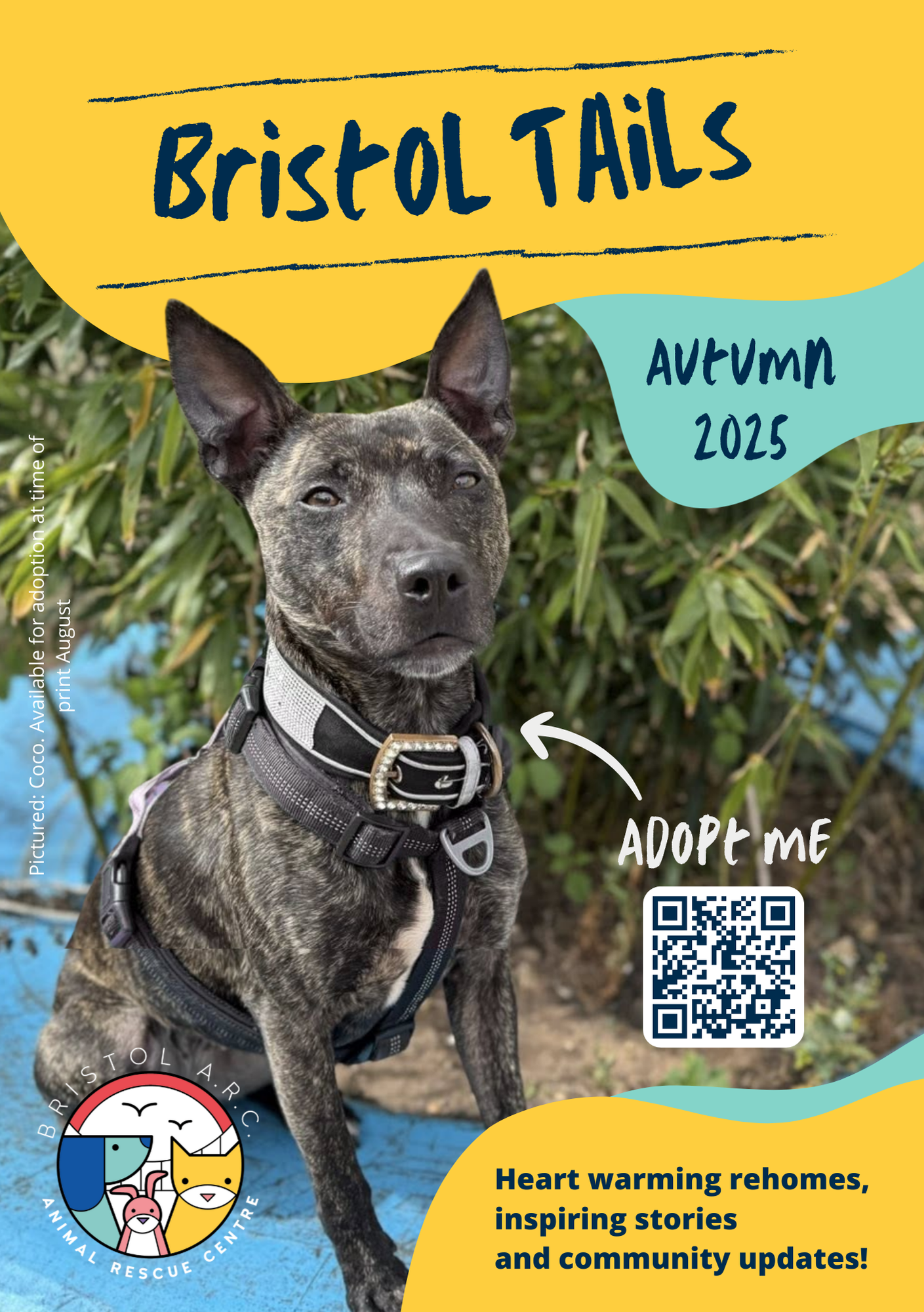 2025 Autumn Newsletter