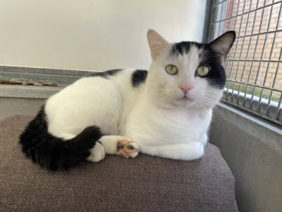 Needs To Touch Grass