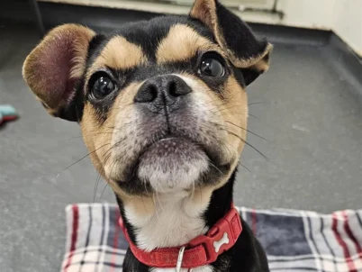 Oh my god I love chipotle.