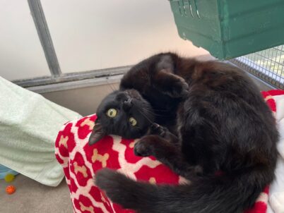 D’u Know What I Mean?