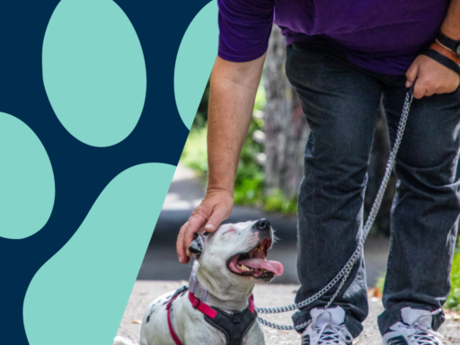 Leave a Lasting Paw Print