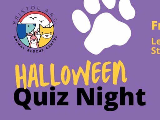 Halloween Quiz Night