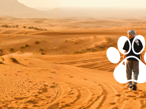 The Big Sahara Trek 2028
