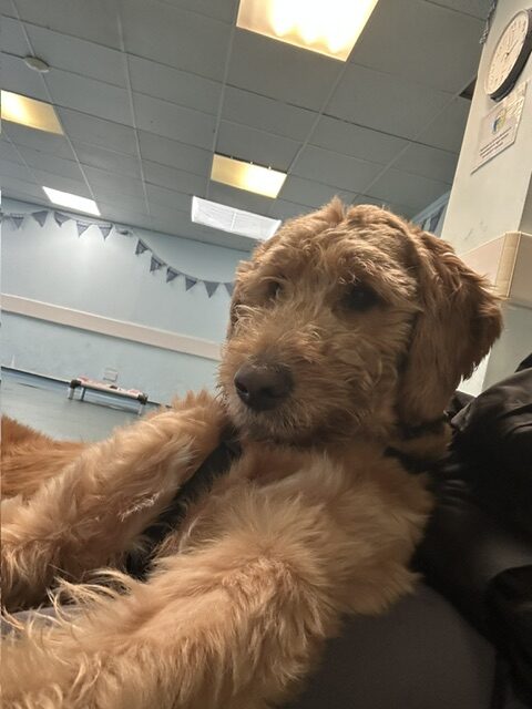 Sammy